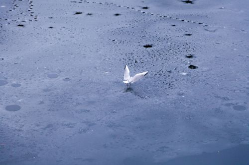 022012fevrier.jpg