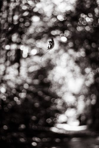 082012aout.jpg