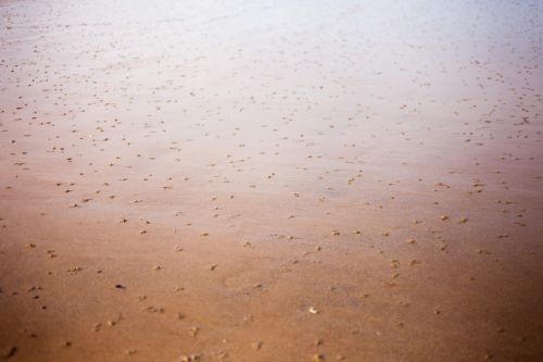 112012novembre.jpg