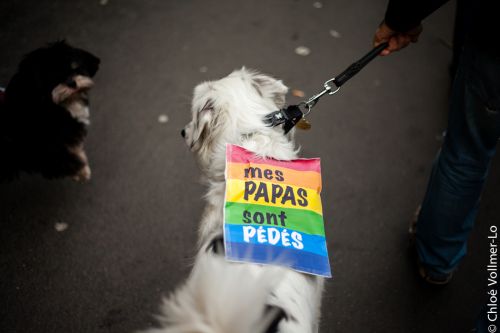 manifestation-egalite-des-droits-paris-16-decembre-2012.jpg