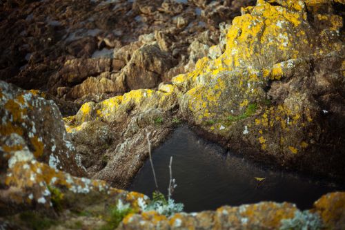saint-malo-web-65.jpg
